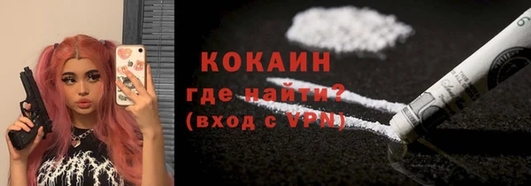 спайс Гусев