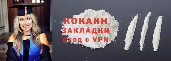 спайс Гусев