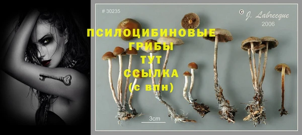 меф Гусиноозёрск