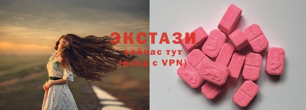спайс Гусев