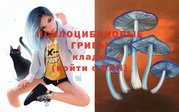 соль курить ск Гусь-Хрустальный